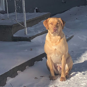 Meet your Posher, Gunnar